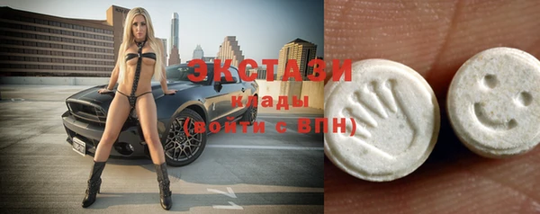 ECSTASY Богданович