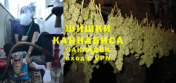 ECSTASY Богданович