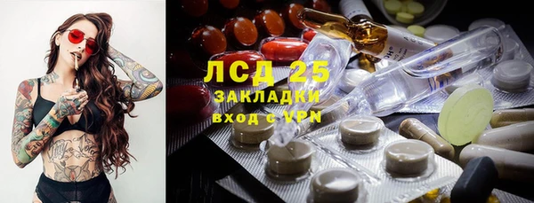 ECSTASY Богданович