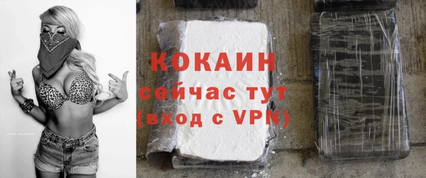 ECSTASY Богданович