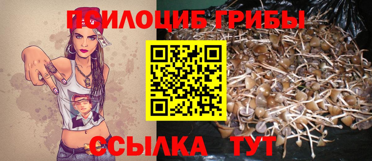 Псилоцибиновые грибы прущие грибы Наро-Фоминск